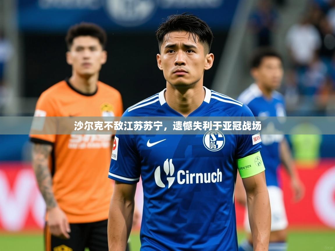 沙尔克不敌江苏苏宁,遗憾失利于亚冠战场 沙尔克不敌江苏苏宁,遗憾失利于亚冠战场