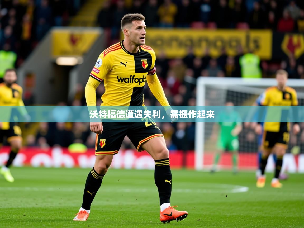 沃特福德遭遇失利,需振作起来 沃特福德遭遇失利,需振作起来