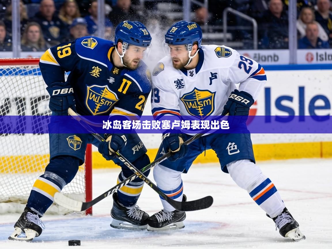 冰岛客场击败塞卢姆表现出色